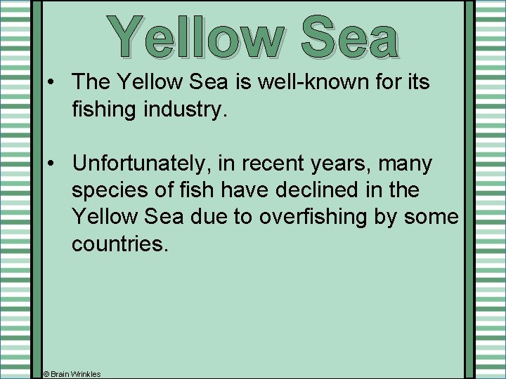 Yellow Sea • The Yellow Sea is well-known for its fishing industry. • Unfortunately,