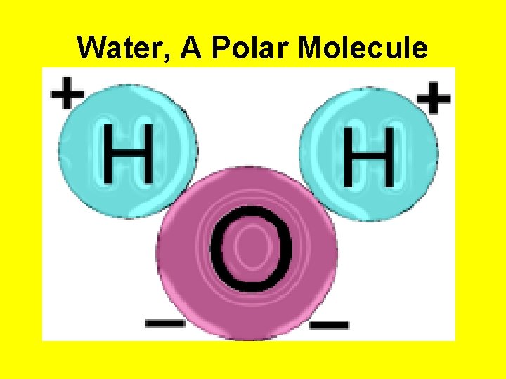 Water, A Polar Molecule 