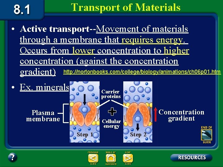 Transport of Materials • Active transport--Movement of materials through a membrane that requires energy.