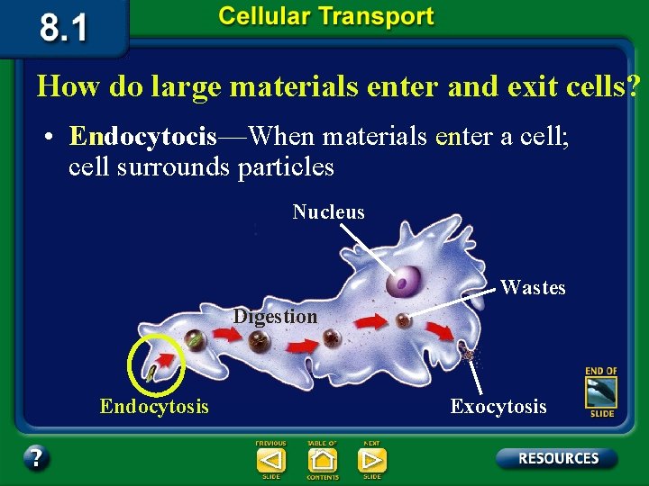 How do large materials enter and exit cells? • Endocytocis—When materials enter a cell;