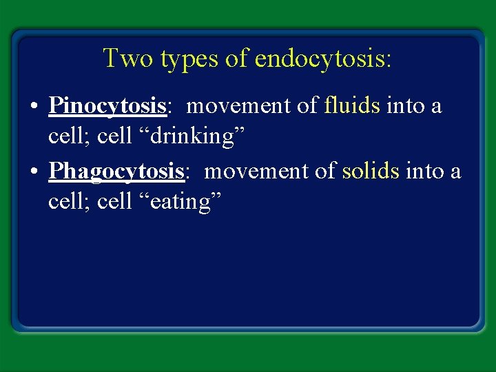 Two types of endocytosis: • Pinocytosis: movement of fluids into a cell; cell “drinking”