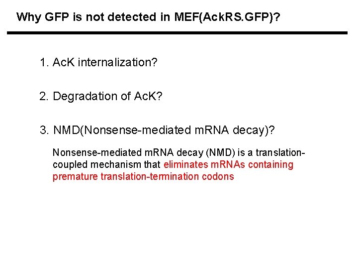 Why GFP is not detected in MEF(Ack. RS. GFP)? 1. Ac. K internalization? 2.