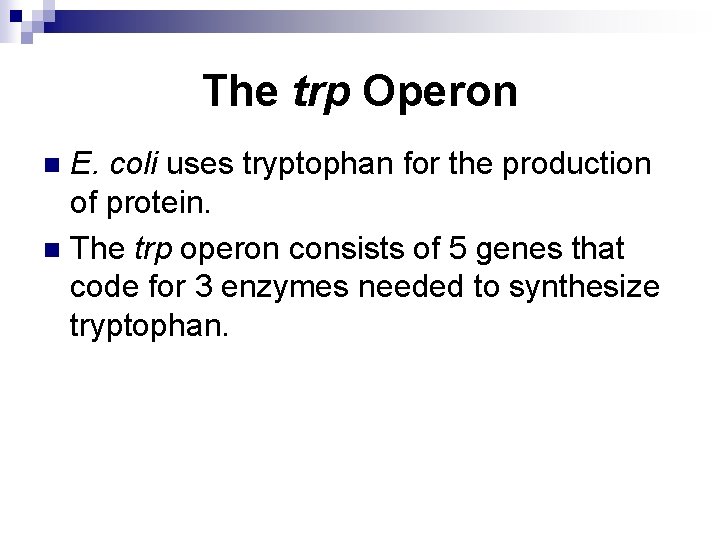 The trp Operon E. coli uses tryptophan for the production of protein. n The