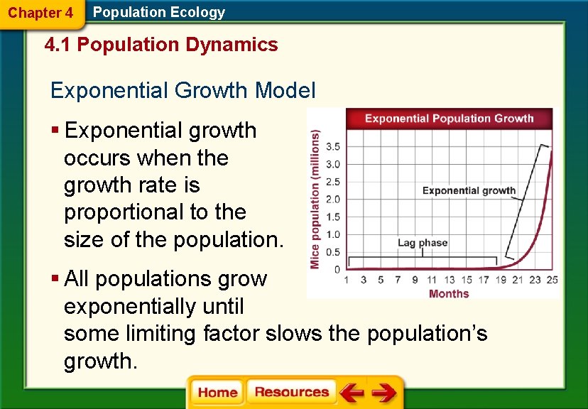Chapter 4 Population Ecology 4. 1 Population Dynamics Exponential Growth Model § Exponential growth