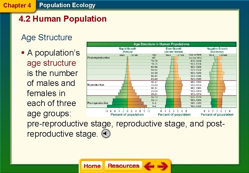 Chapter 4 Population Ecology 4. 2 Human Population Age Structure § A population’s age