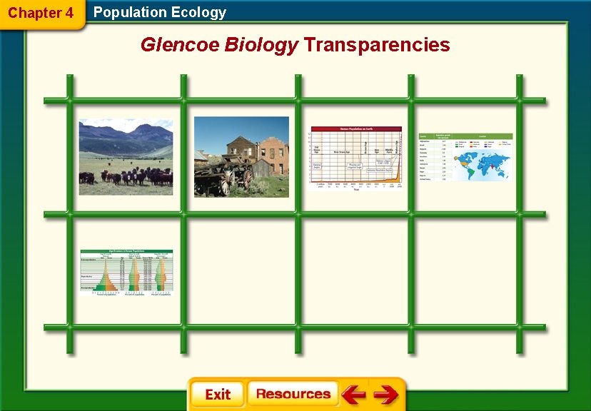 Chapter 4 Population Ecology Glencoe Biology Transparencies 