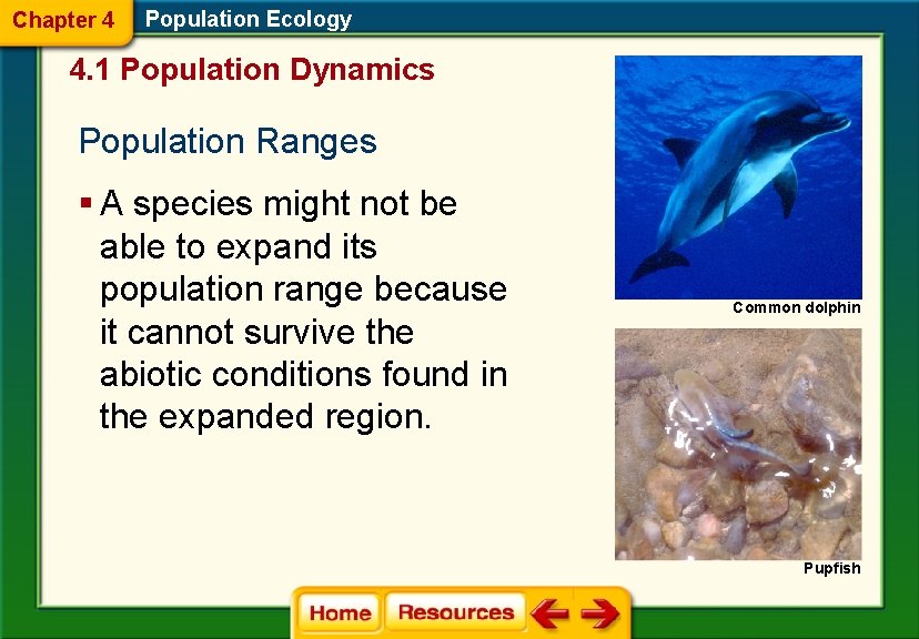 Chapter 4 Population Ecology 4. 1 Population Dynamics Population Ranges § A species might