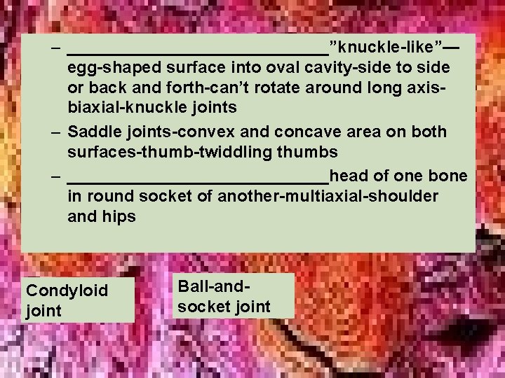 – ______________”knuckle-like”— egg-shaped surface into oval cavity-side to side or back and forth-can’t rotate – ______________”knuckle-like”— egg-shaped surface into oval cavity-side to side or back and forth-can’t rotate