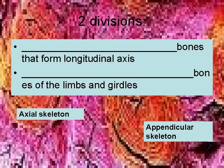 2 divisions: • ______________bones that form longitudinal axis • ________________bon es of the limbs 2 divisions: • ______________bones that form longitudinal axis • ________________bon es of the limbs