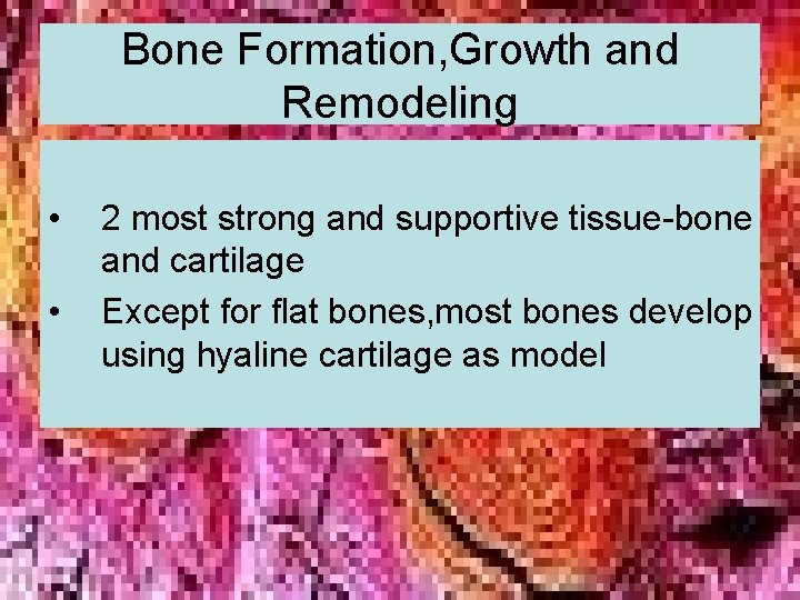 Bone Formation, Growth and Remodeling • • 2 most strong and supportive tissue-bone and Bone Formation, Growth and Remodeling • • 2 most strong and supportive tissue-bone and