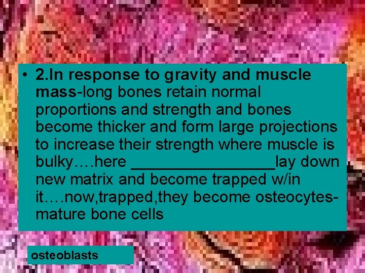 • 2. In response to gravity and muscle mass-long bones retain normal proportions • 2. In response to gravity and muscle mass-long bones retain normal proportions