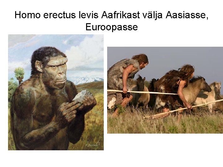 Homo erectus levis Aafrikast välja Aasiasse, Euroopasse 