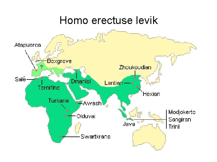 Homo erectuse levik 