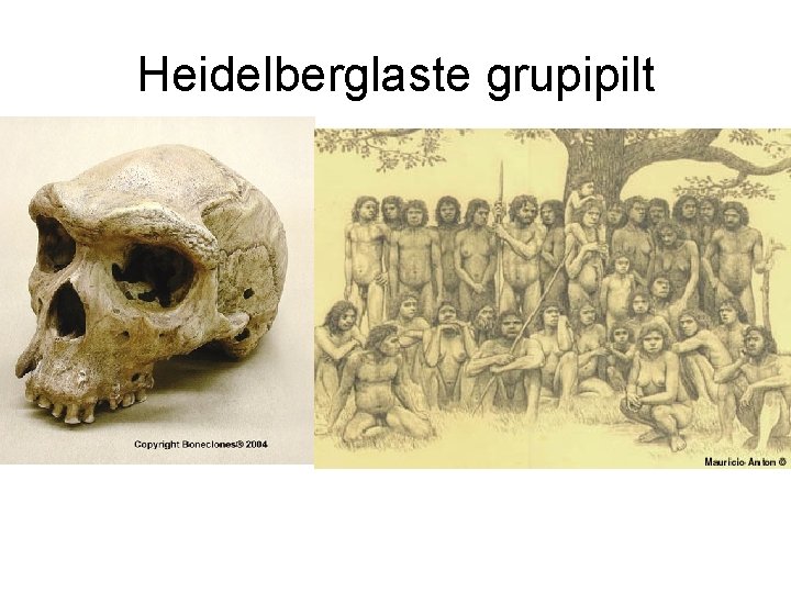 Heidelberglaste grupipilt 