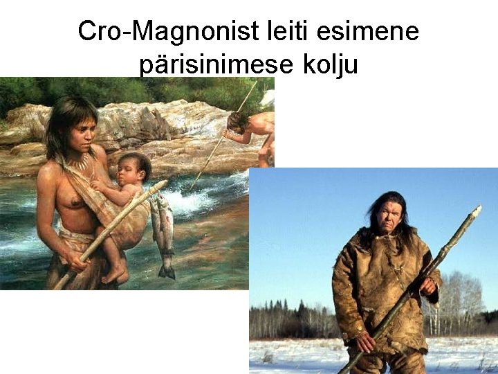 Cro-Magnonist leiti esimene pärisinimese kolju 