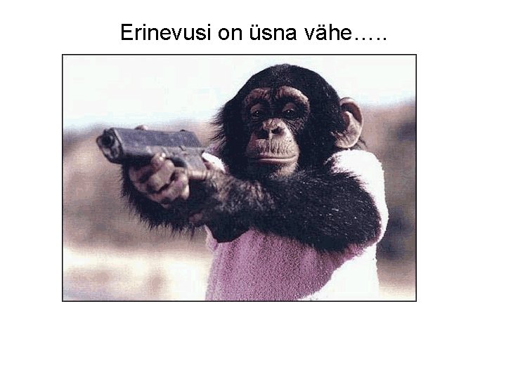 Erinevusi on üsna vähe…. . 