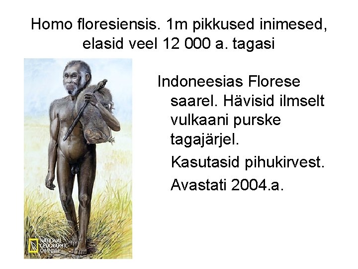Homo floresiensis. 1 m pikkused inimesed, elasid veel 12 000 a. tagasi Indoneesias Florese