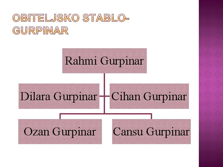 Rahmi Gurpinar Dilara Gurpinar Cihan Gurpinar Ozan Gurpinar Cansu Gurpinar Rahmi Gurpinar Dilara Gurpinar Cihan Gurpinar Ozan Gurpinar Cansu Gurpinar