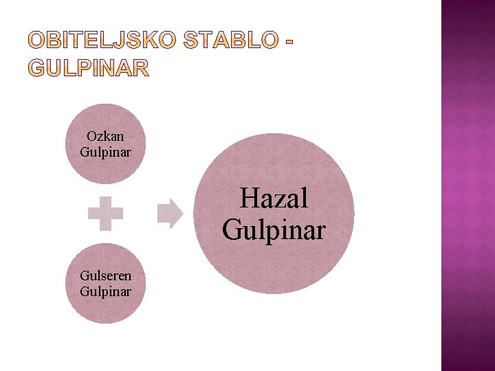 Ozkan Gulpinar Hazal Gulpinar Gulseren Gulpinar Ozkan Gulpinar Hazal Gulpinar Gulseren Gulpinar