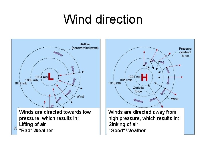 Wind direction Winds are directed towards low pressure, which results in: Lifting of air