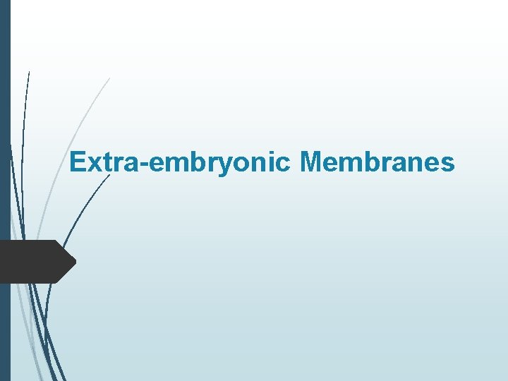 Extra-embryonic Membranes 
