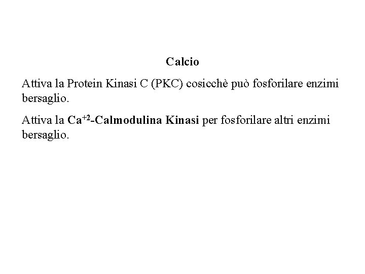 Calcio Attiva la Protein Kinasi C (PKC) cosicchè può fosforilare enzimi bersaglio. Attiva la