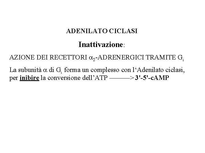 ADENILATO CICLASI Inattivazione: AZIONE DEI RECETTORI a 2 -ADRENERGICI TRAMITE Gi La subunità a