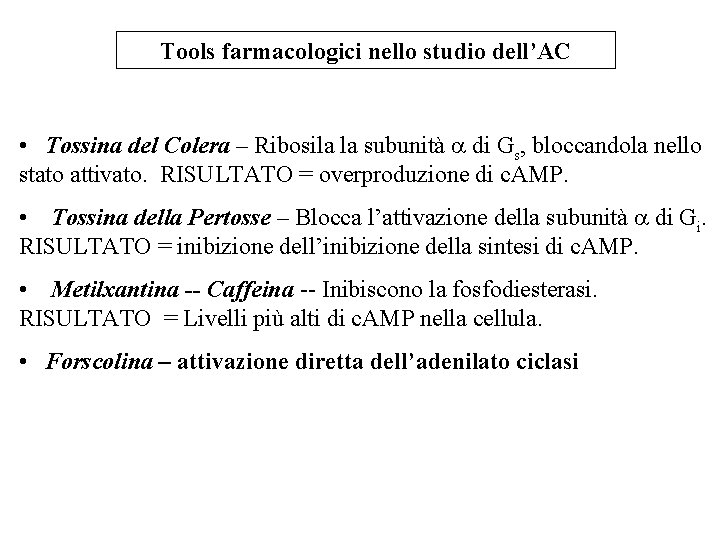 Tools farmacologici nello studio dell’AC • Tossina del Colera – Ribosila la subunità a