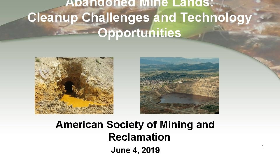 Abandoned Mine Lands: Cleanup Challenges and Technology Opportunities American Society of Mining and Reclamation