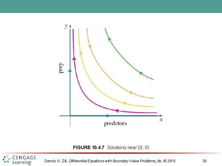 FIGURE 10. 4. 7 Solutions near (0, 0) Dennis G. Zill, Differential Equations with FIGURE 10. 4. 7 Solutions near (0, 0) Dennis G. Zill, Differential Equations with