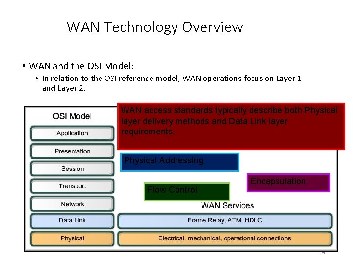 WAN Technology Overview • WAN and the OSI Model: • In relation to the