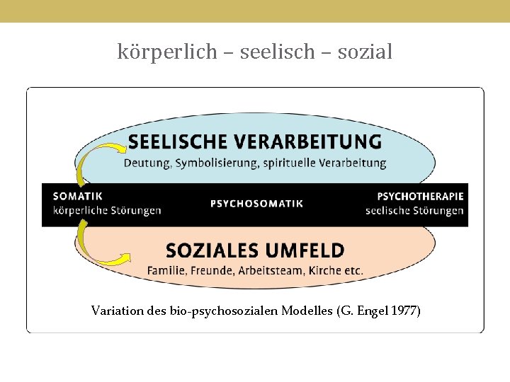 körperlich – seelisch – sozial Variation des bio-psychosozialen Modelles (G. Engel 1977) 10 
