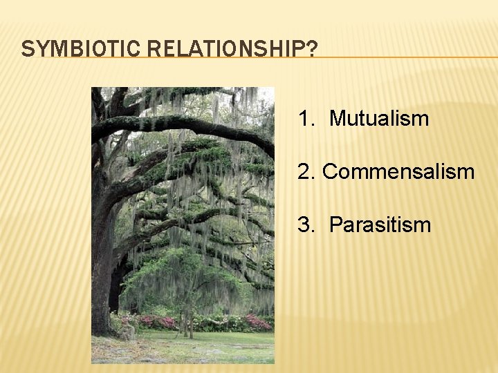 SYMBIOTIC RELATIONSHIP? 1. Mutualism 2. Commensalism 3. Parasitism 