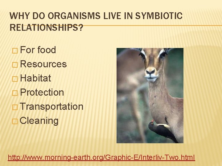 WHY DO ORGANISMS LIVE IN SYMBIOTIC RELATIONSHIPS? � For food � Resources � Habitat