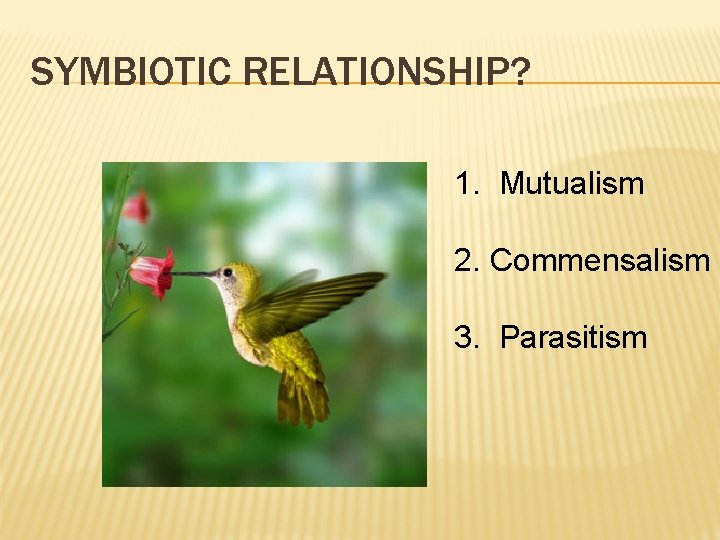 SYMBIOTIC RELATIONSHIP? 1. Mutualism 2. Commensalism 3. Parasitism 