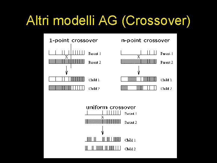 Altri modelli AG (Crossover) 