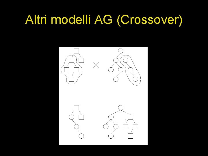 Altri modelli AG (Crossover) 