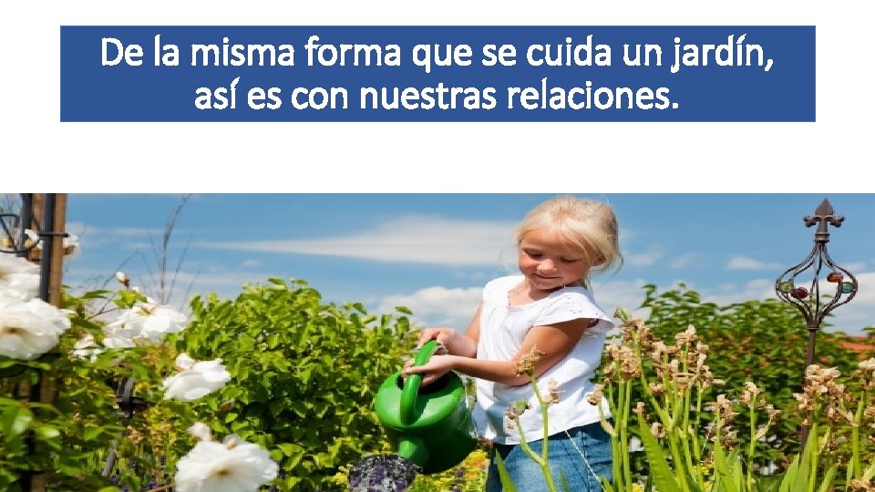 De la misma forma que se cuida un jardín, así es con nuestras relaciones.