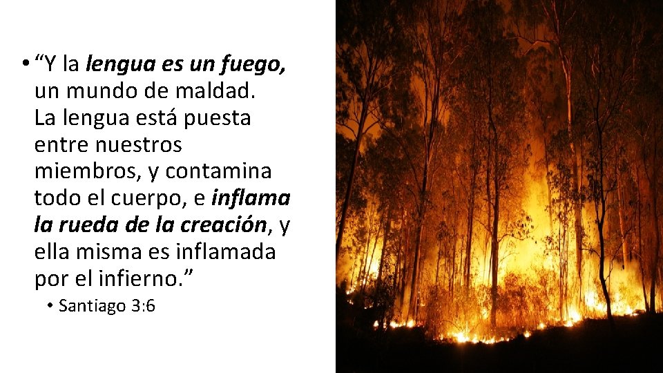  • “Y la lengua es un fuego, un mundo de maldad. La lengua