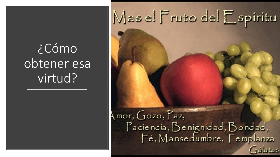 ¿Cómo obtener esa virtud? 
