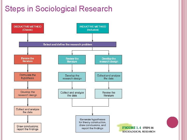 Steps in Sociological Research 