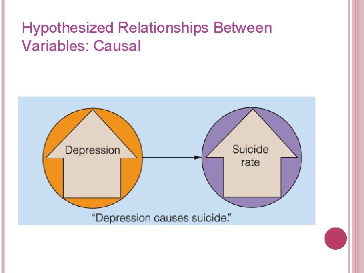 Hypothesized Relationships Between Variables: Causal 