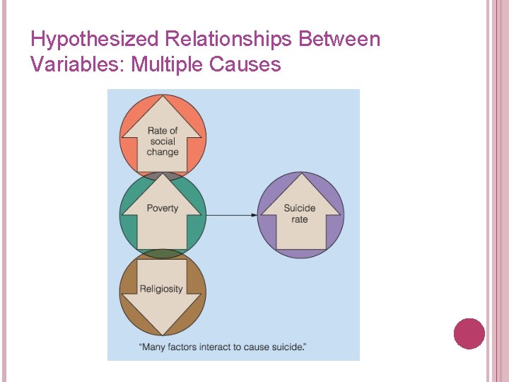 Hypothesized Relationships Between Variables: Multiple Causes 