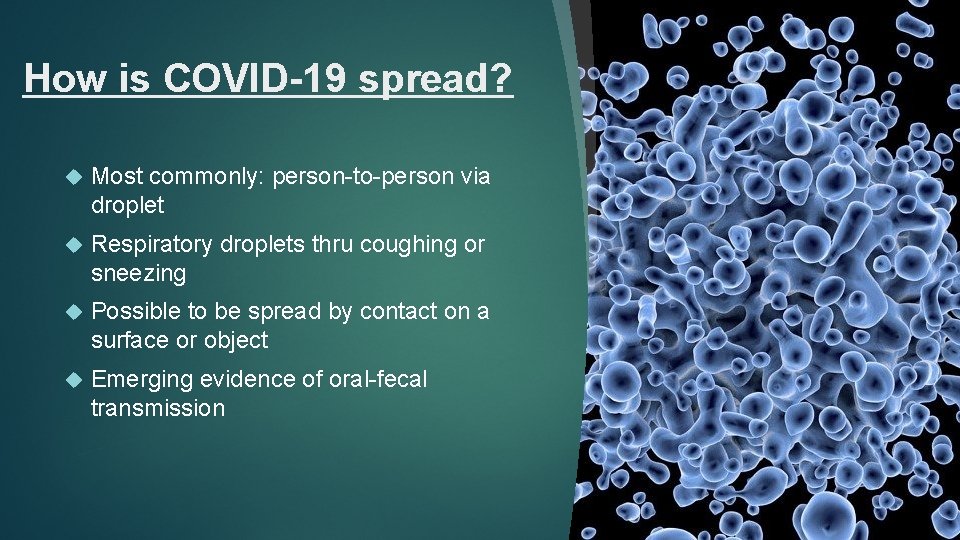 How is COVID-19 spread? Most commonly: person-to-person via droplet Respiratory droplets thru coughing or