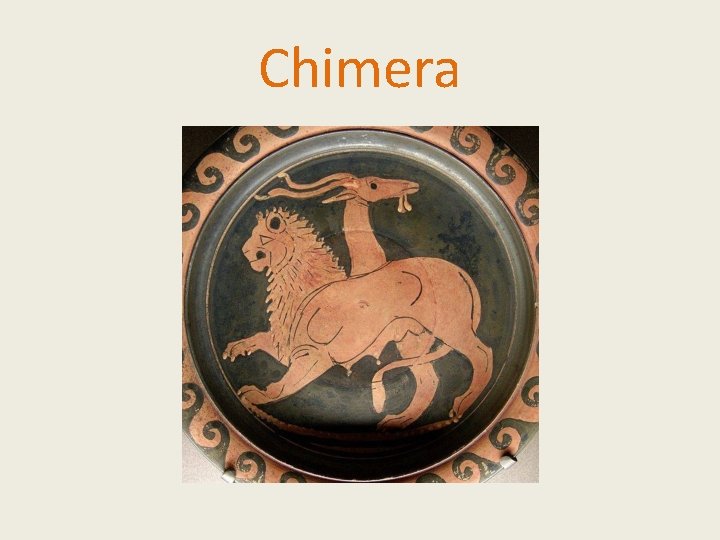 Chimera 