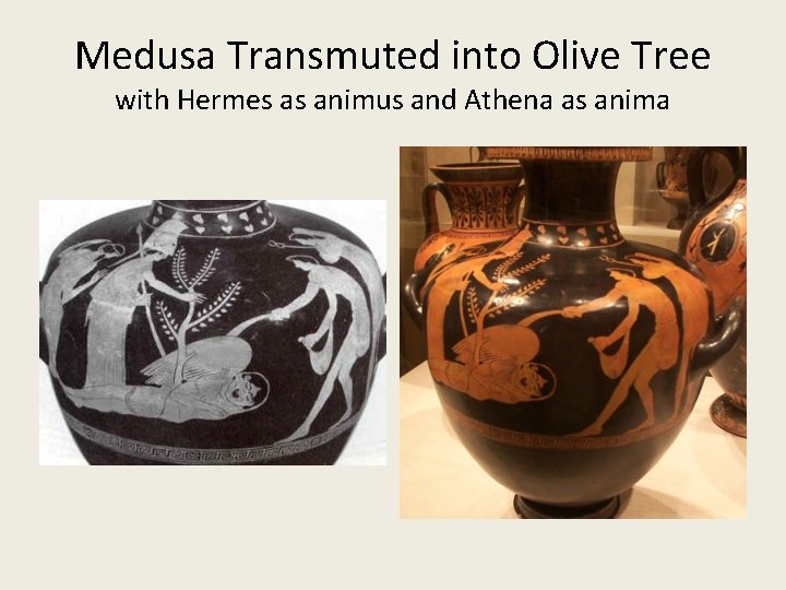 Medusa Transmuted into Olive Tree with Hermes as animus and Athena as anima 