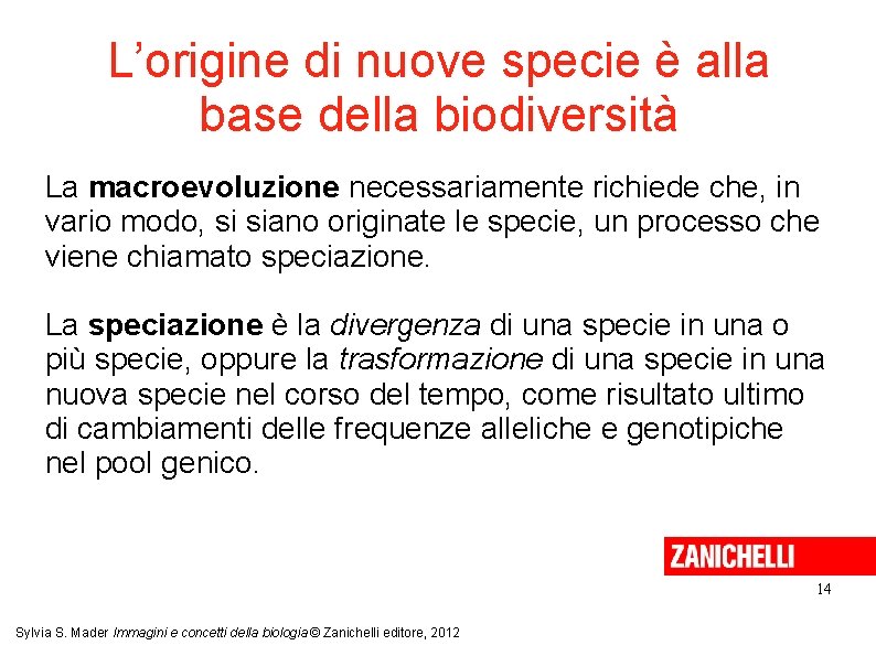 L’origine di nuove specie è alla base della biodiversità La macroevoluzione necessariamente richiede che,