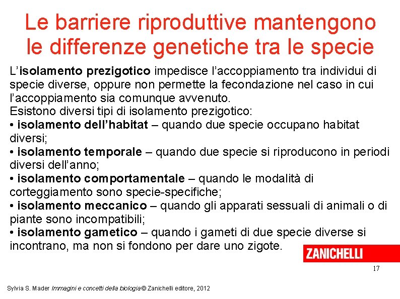 Le barriere riproduttive mantengono le differenze genetiche tra le specie L’isolamento prezigotico impedisce l’accoppiamento