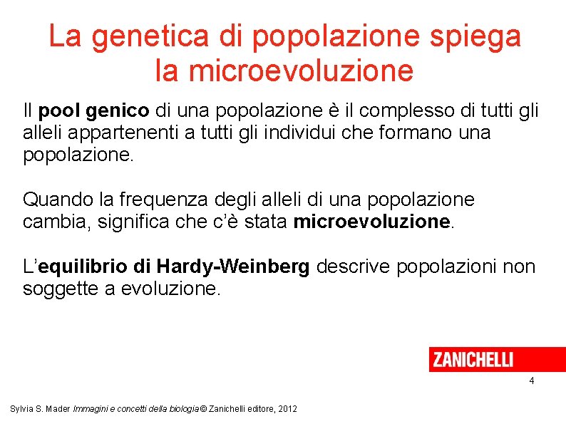 La genetica di popolazione spiega la microevoluzione Il pool genico di una popolazione è