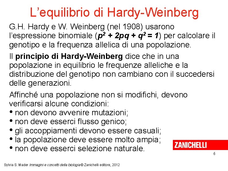 L’equilibrio di Hardy-Weinberg G. H. Hardy e W. Weinberg (nel 1908) usarono l’espressione binomiale